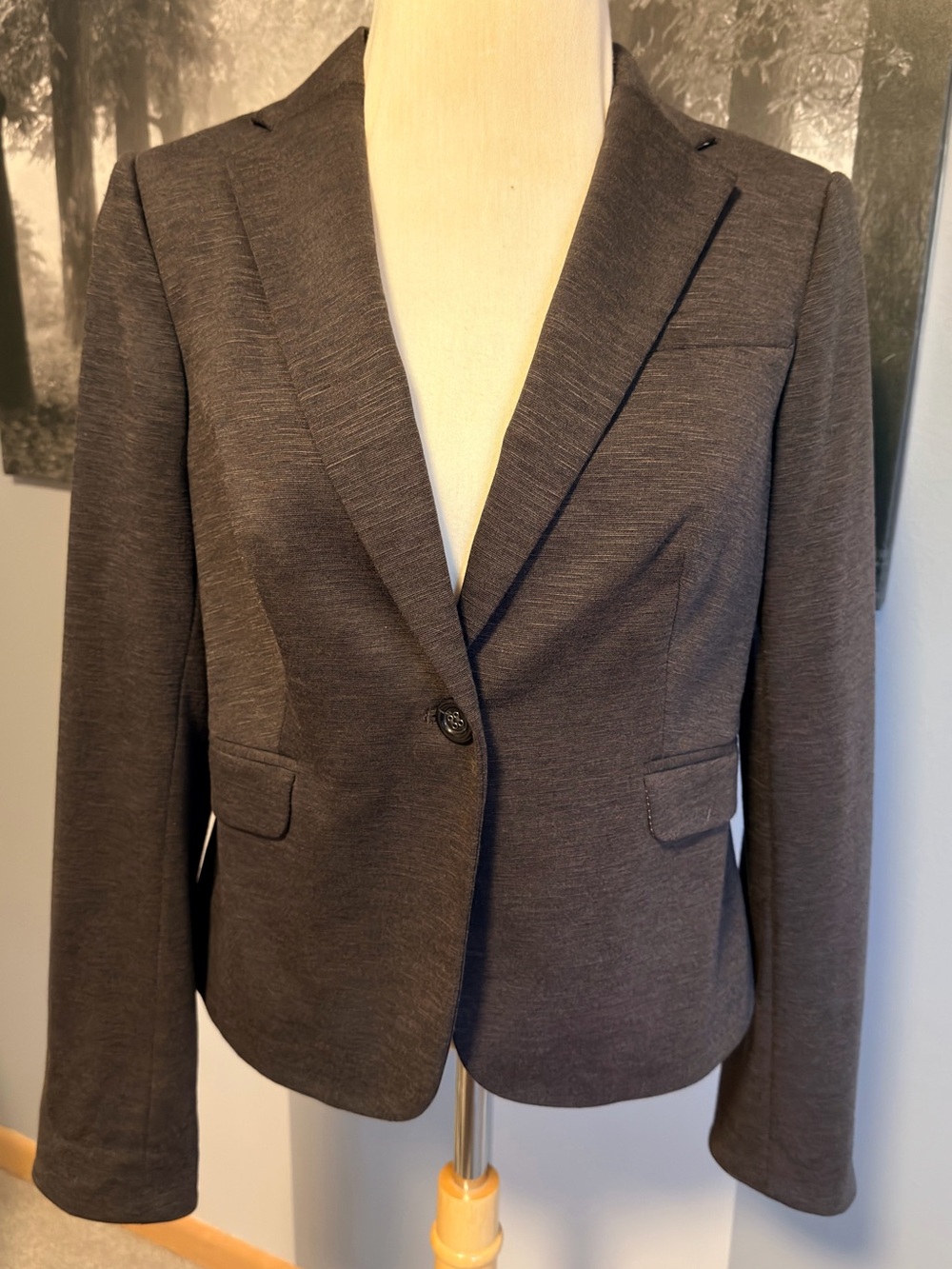 The Limited Charcoal Single-Button Tailored Blazer